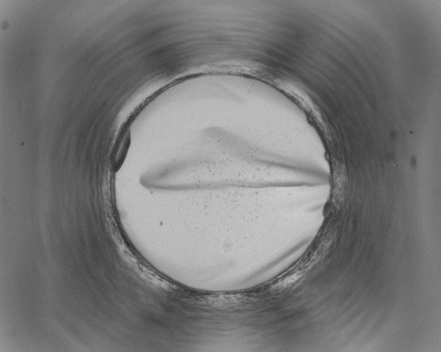 X0000062140952200601060920