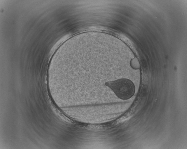 X0000062140954200601060920