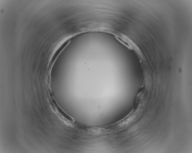 X0000062140956200601060920