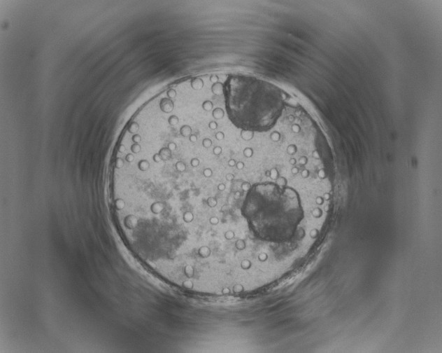 X0000062140957200601060920