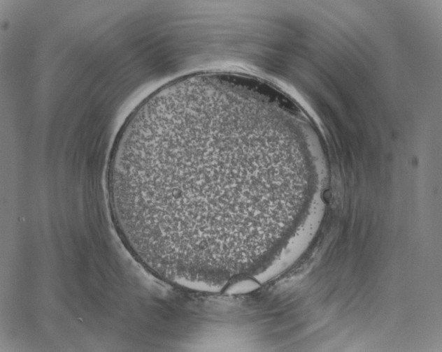 X0000062140959200601060920