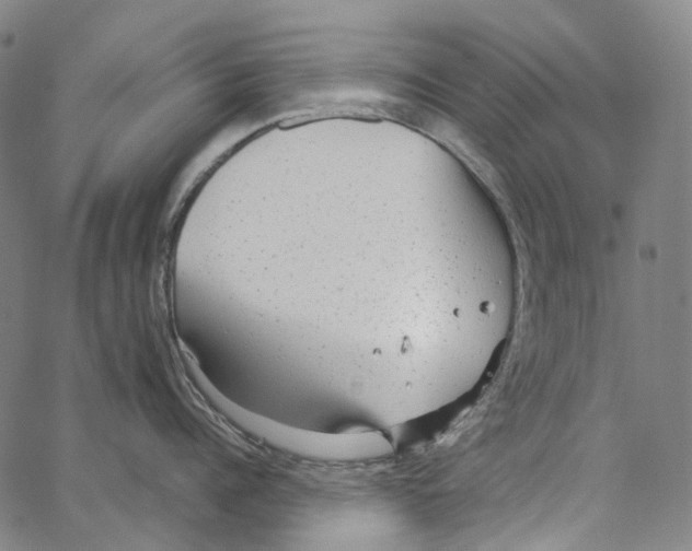 X0000062140960200601060920