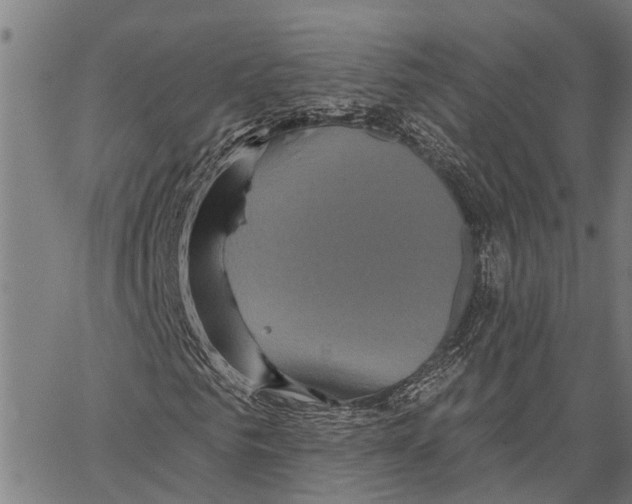 X0000062140961200601060919