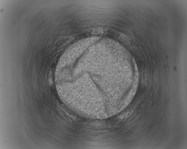 X0000062140962200601060919