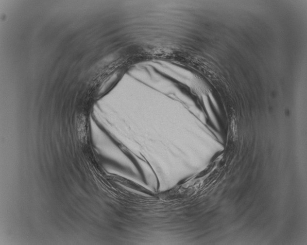 X0000062140963200601060919