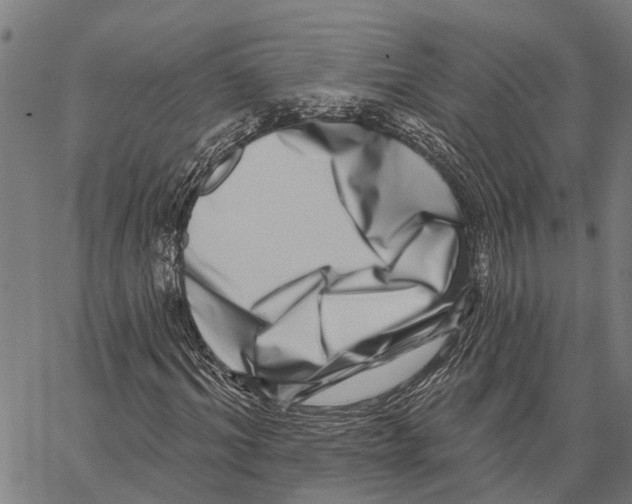 X0000062140964200601060919