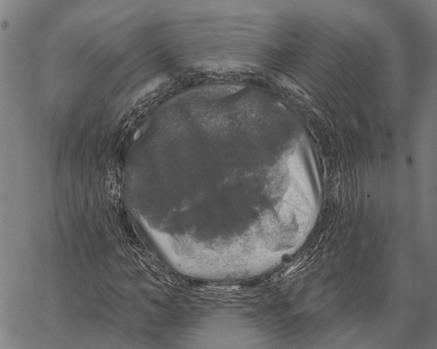 X0000062140966200601060919