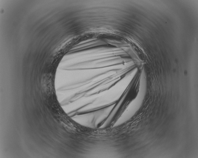 X0000062140968200601060919