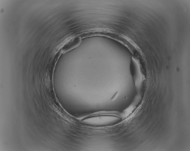 X0000062140969200601060919