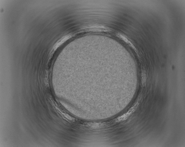 X0000062140970200601060919