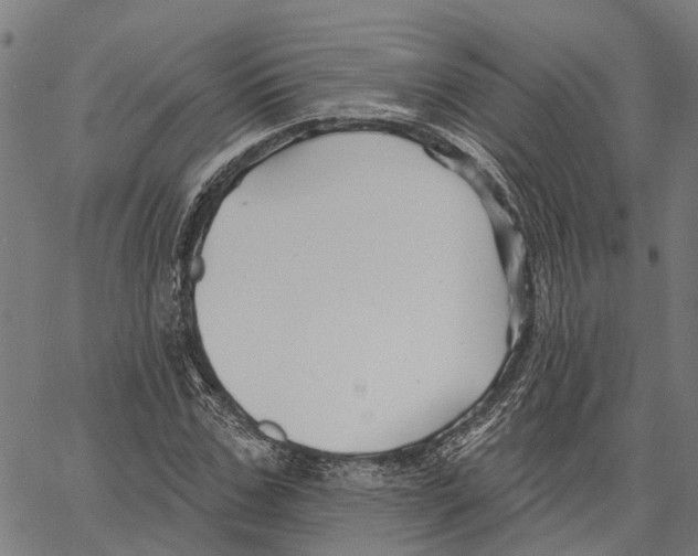 X0000062140971200601060919