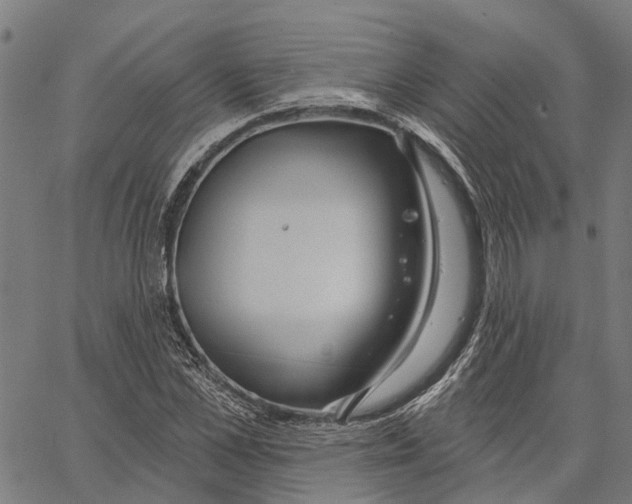 X0000062140973200601060919