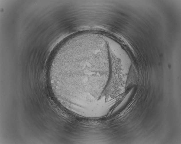 X0000062140975200601060919