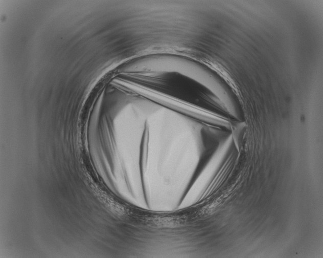 X0000062140976200601060919