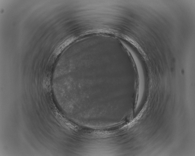 X0000062140977200601060919