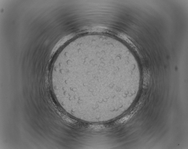 X0000062140978200601060919