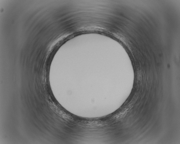 X0000062140979200601060919