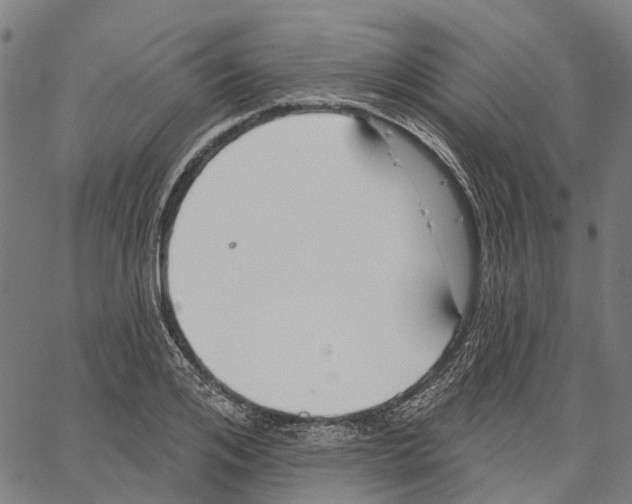 X0000062140984200601060919