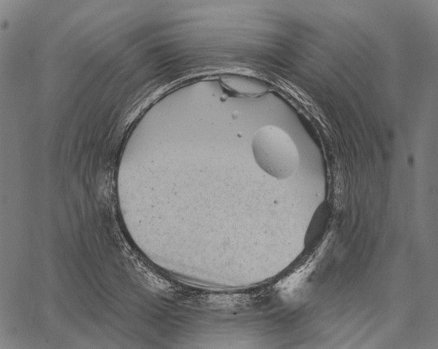 X0000062140985200601060919