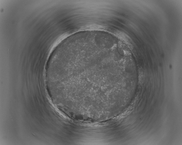 X0000062140990200601060918