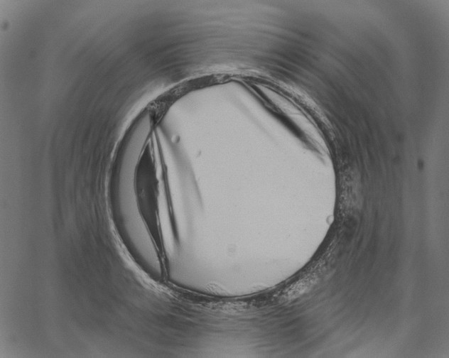 X0000062140991200601060918