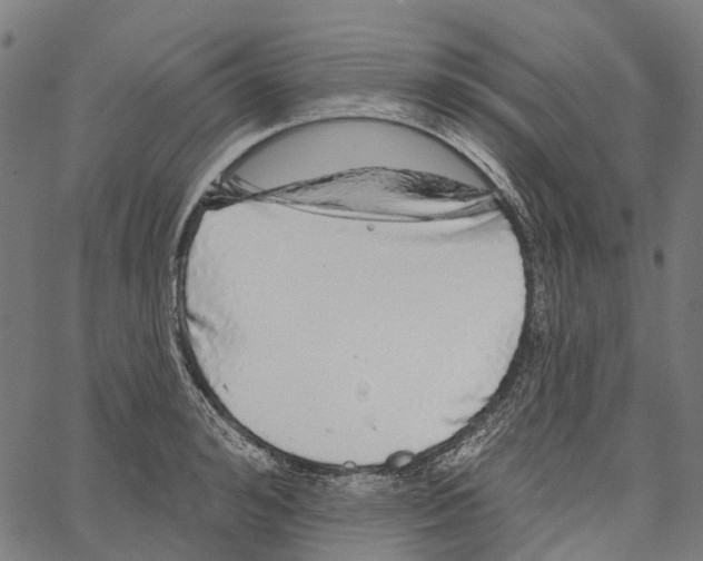 X0000062140992200601060918