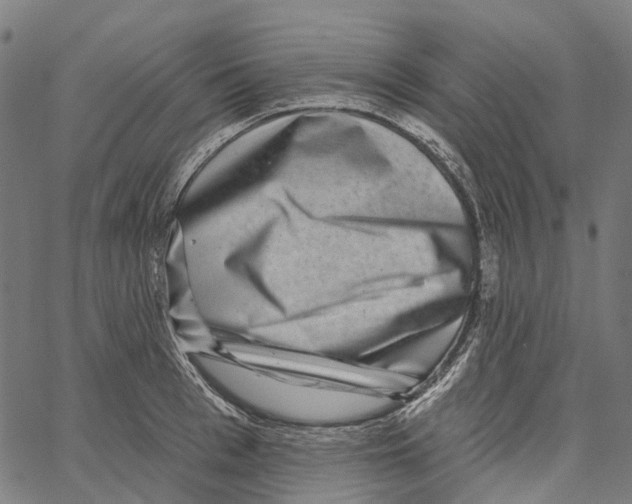 X0000062140993200601060918