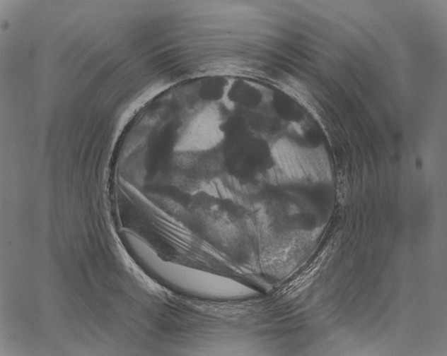 X0000062140995200601060918