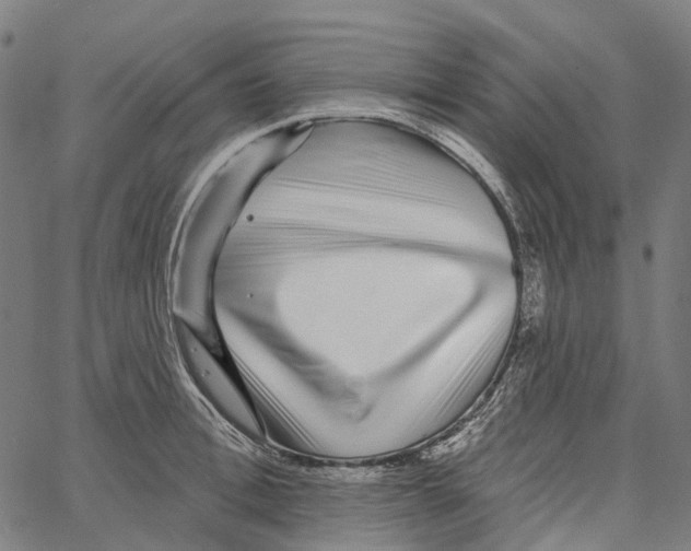 X0000062140996200601060918