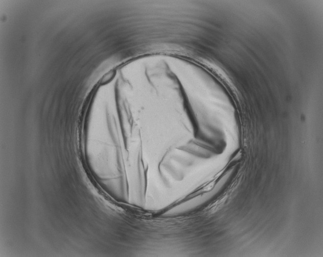 X0000062140999200601060918