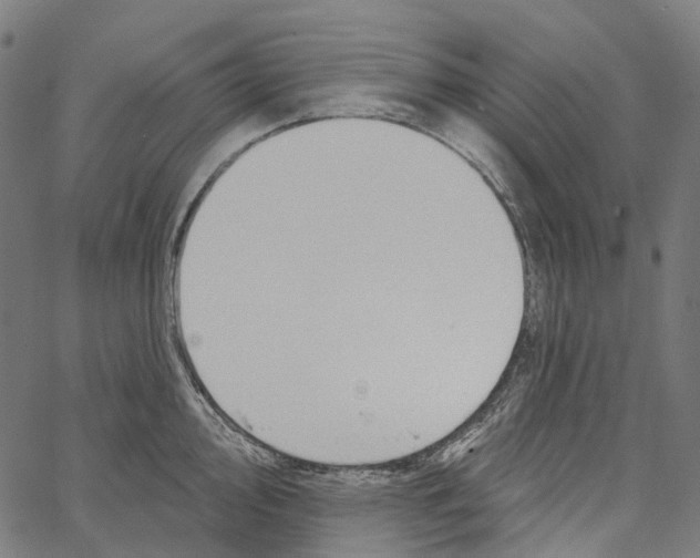 X0000062141000200601060918