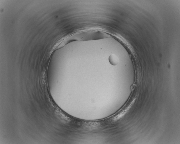 X0000062141001200601060918