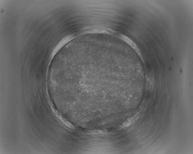 X0000062141002200601060918