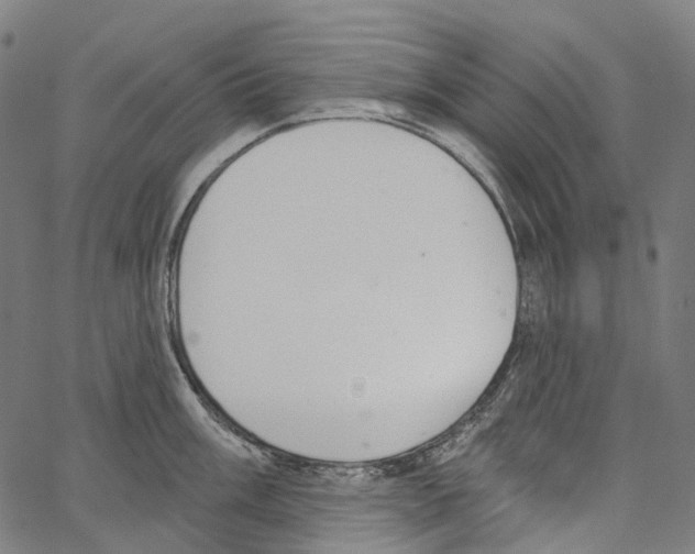 X0000062141003200601060918