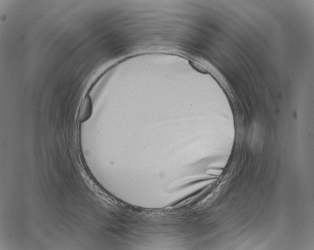 X0000062141004200601060918