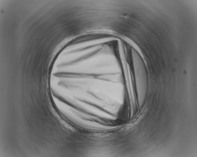 X0000062141005200601060918