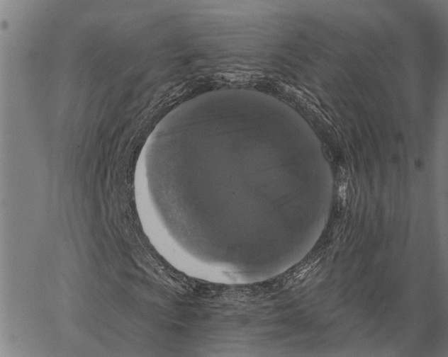 X0000062141009200601060917