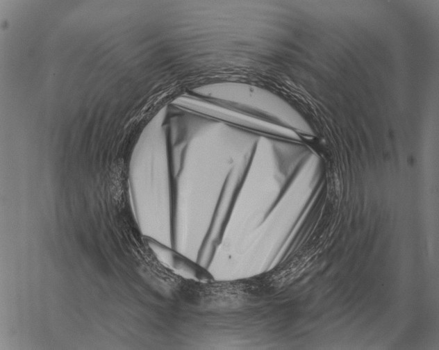 X0000062141012200601060917