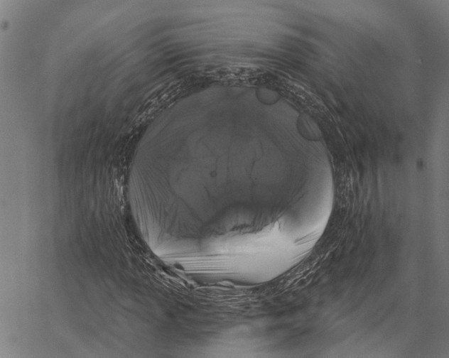 X0000062141013200601060917