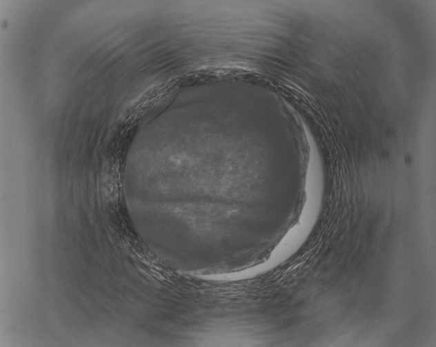 X0000062141014200601060917