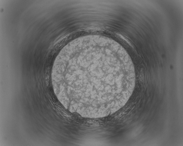 X0000062141015200601060917