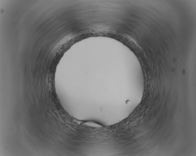 X0000062141016200601060917