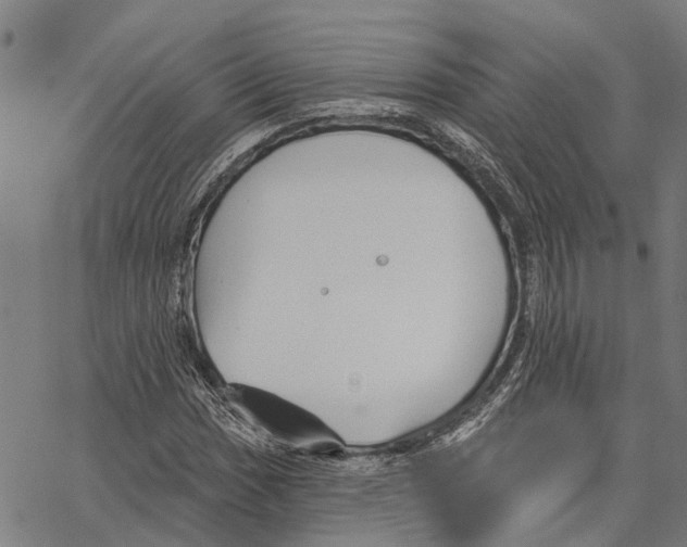 X0000062141017200601060917