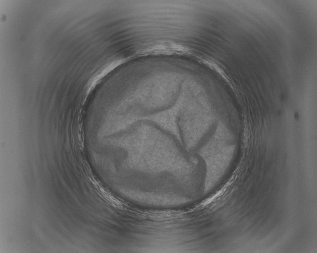 X0000062141018200601060918