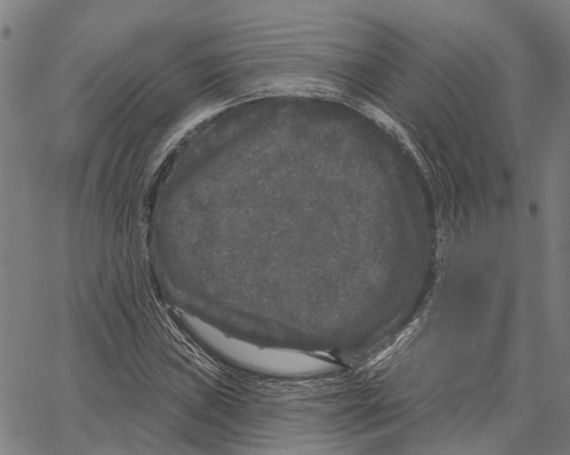 X0000062141019200601060918