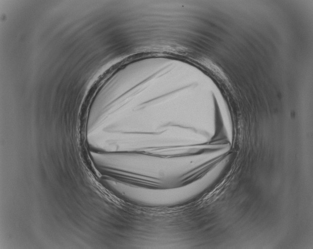 X0000062141020200601060918