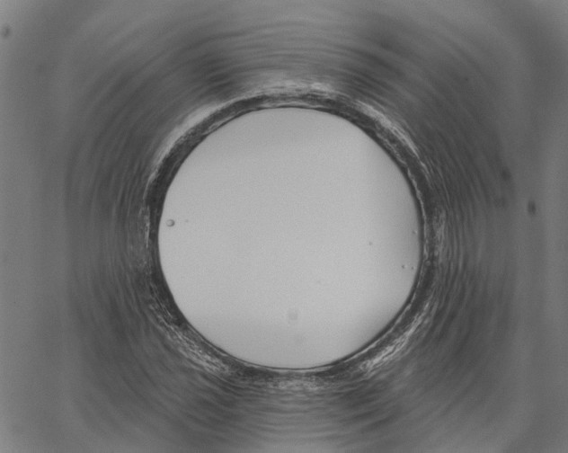 X0000062141021200601060918