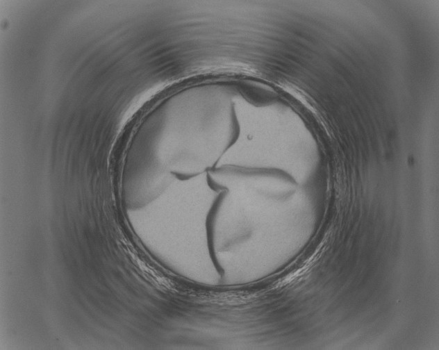 X0000062141022200601060918