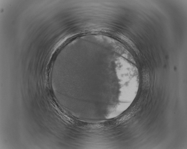 X0000062141023200601060918