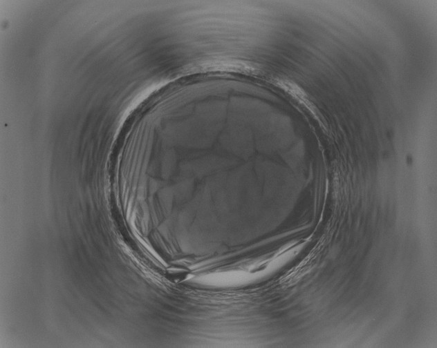 X0000062141024200601060918